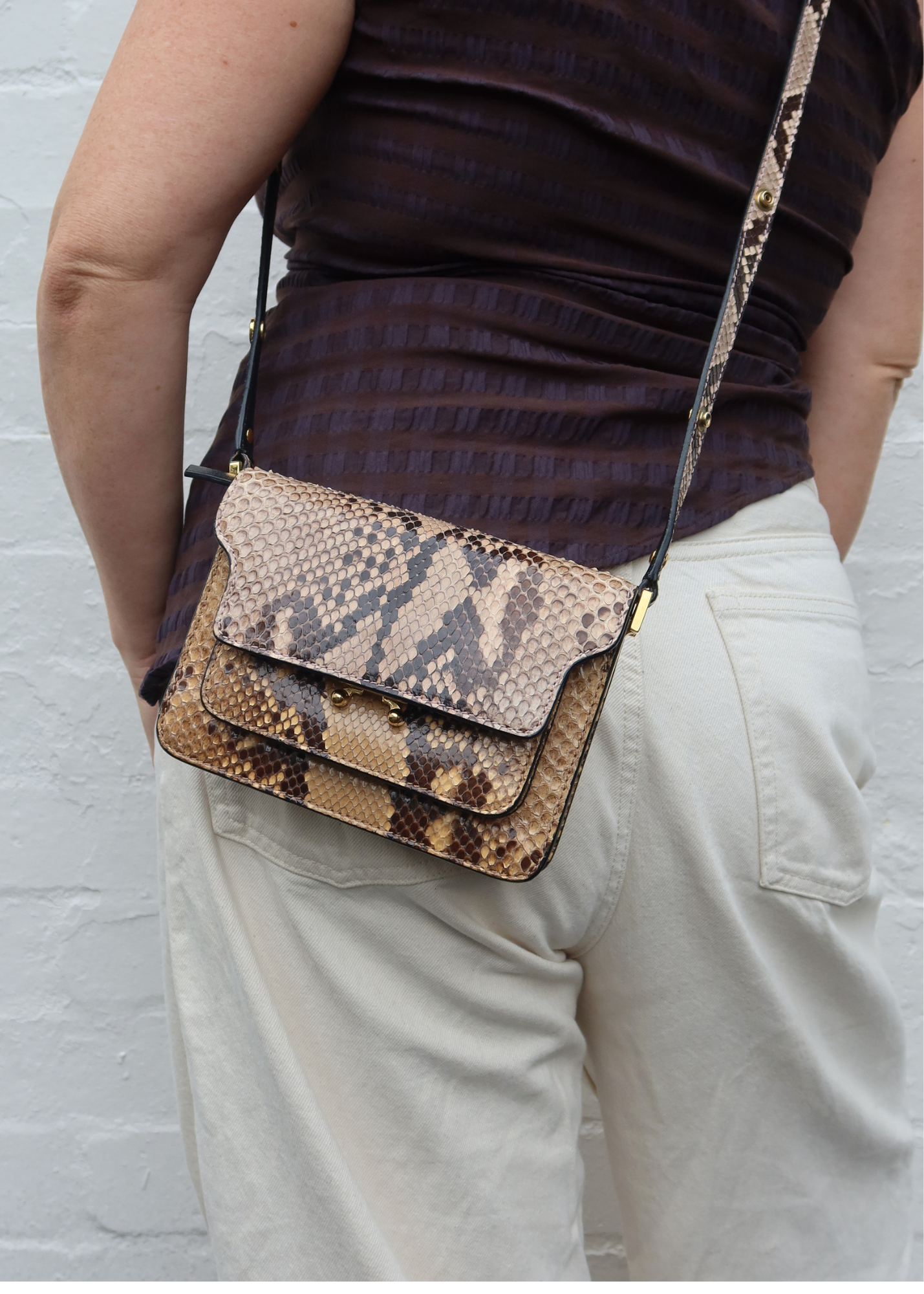MARNI 'Mini Trunk Bag' Python Leather Crossbody