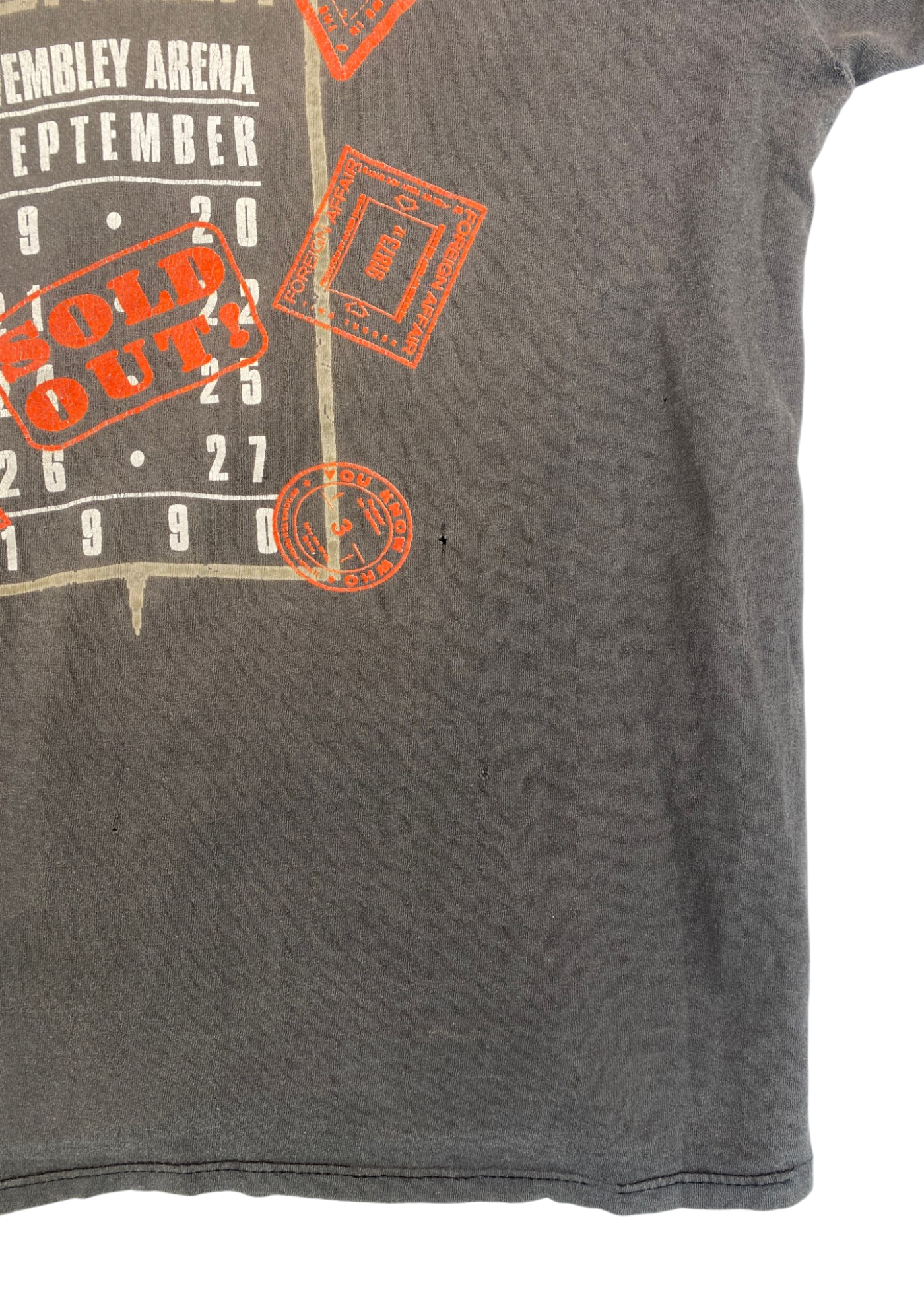 HANES VINTAGE (AS IS) Tina Turner 1990 Tour Distressed Tee
