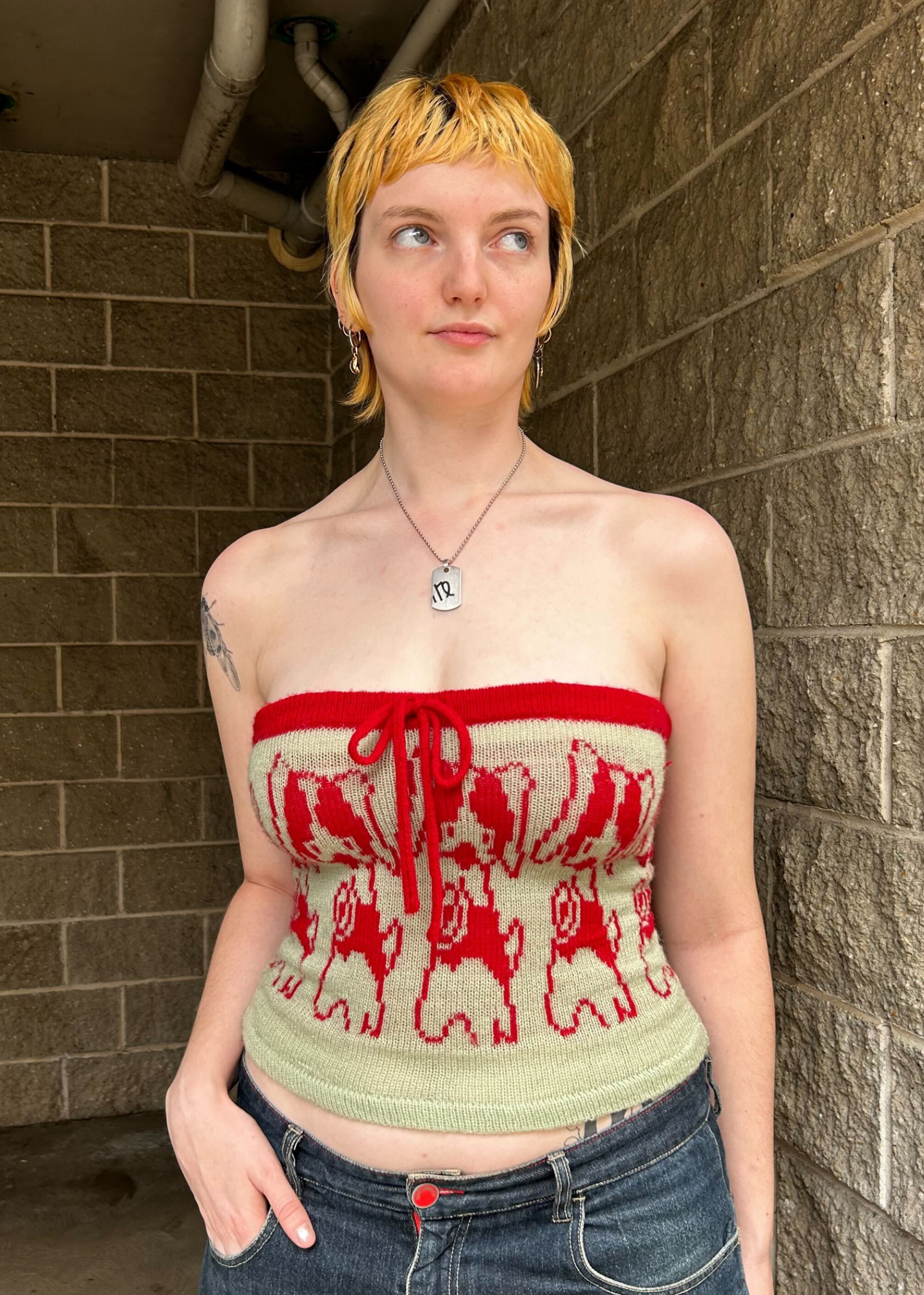 SAIGEY (BNWT) Puppy Dog Wool Knit Tube