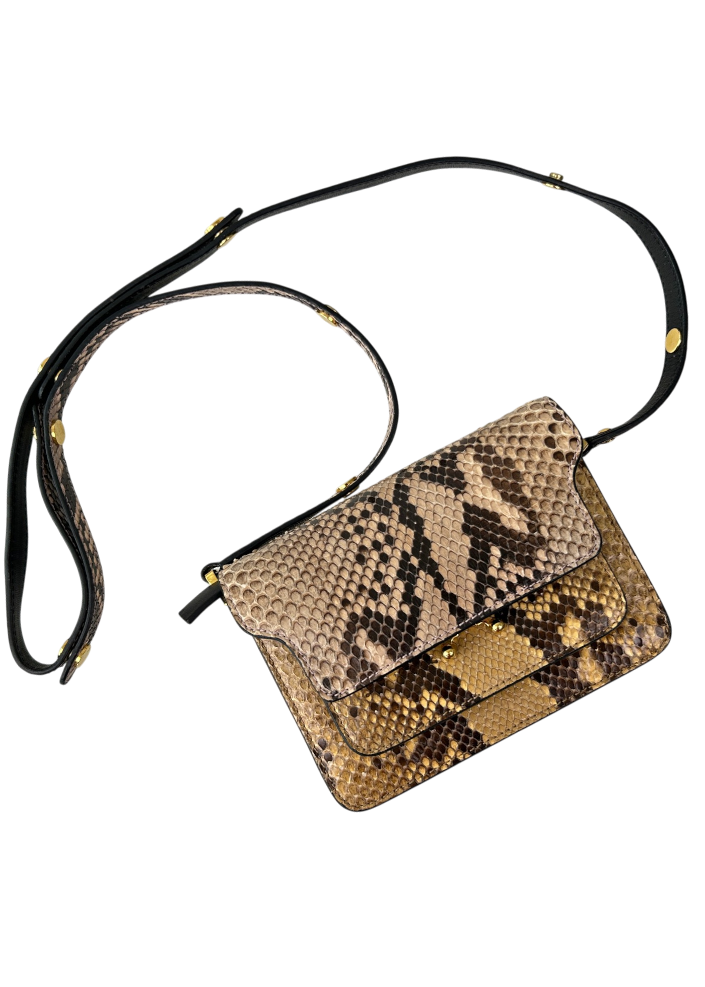 MARNI 'Mini Trunk Bag' Python Leather Crossbody