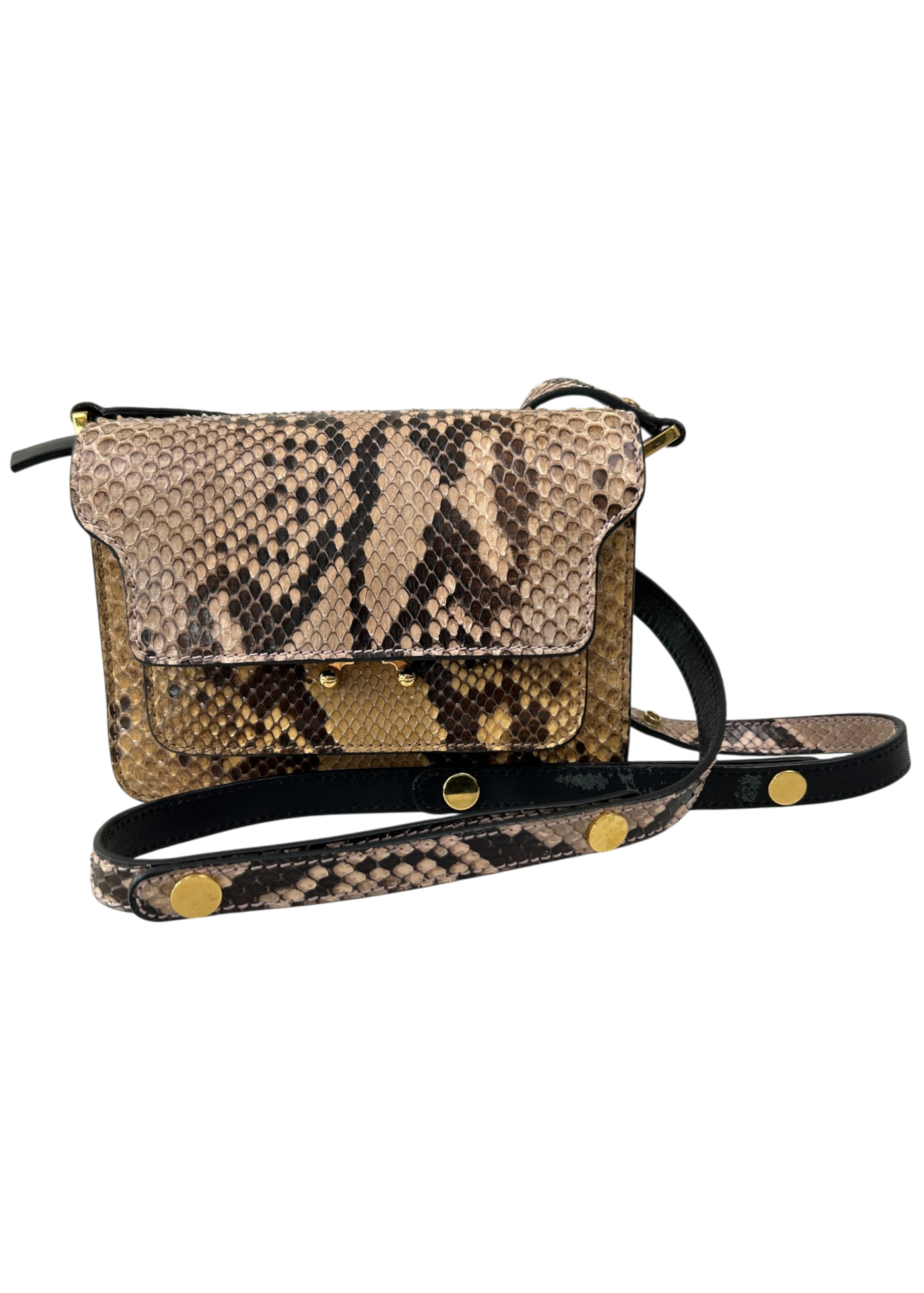 MARNI 'Mini Trunk Bag' Python Leather Crossbody
