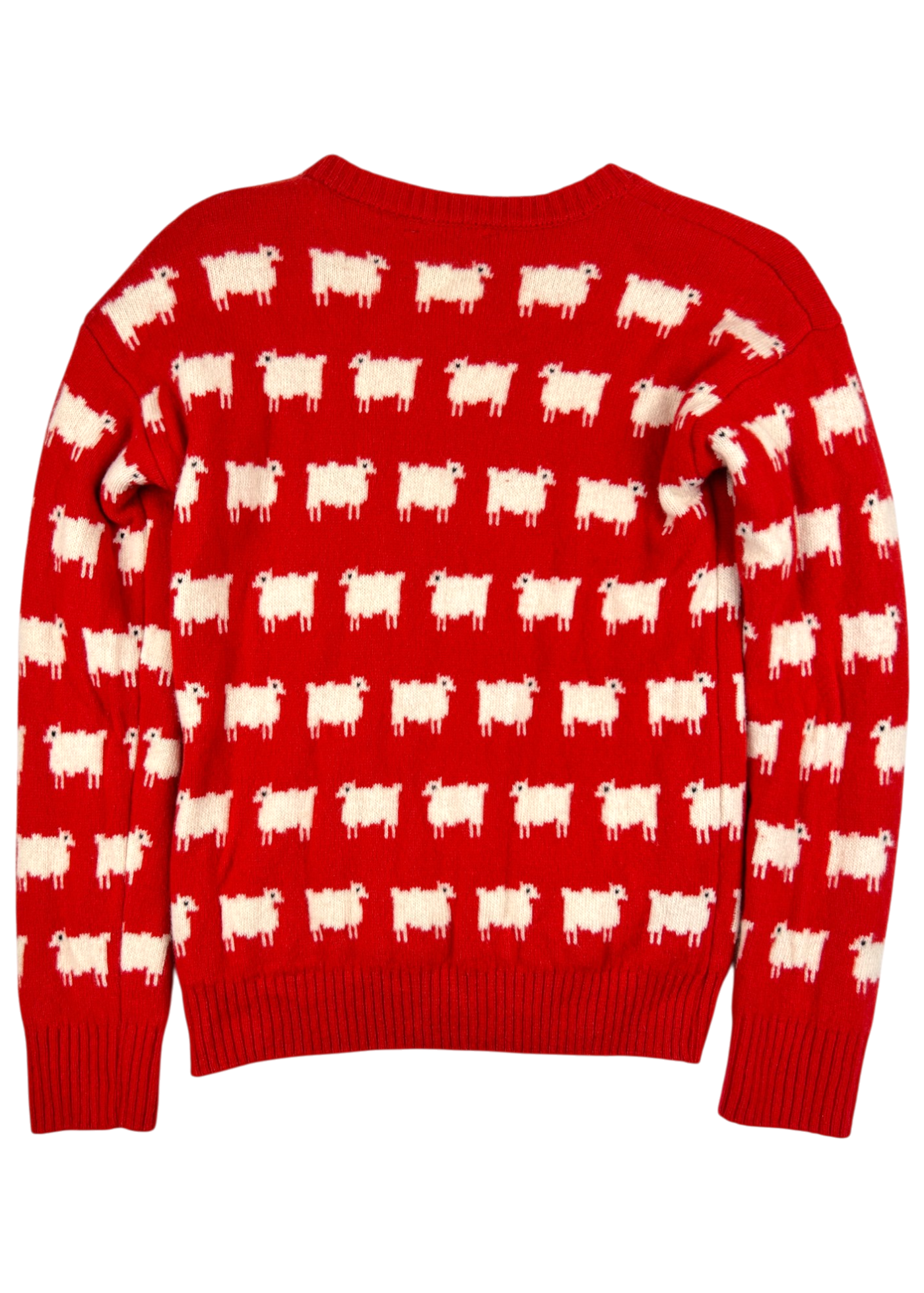 WARM & WONDERFUL (AS IS) Wool Sheep Jumper