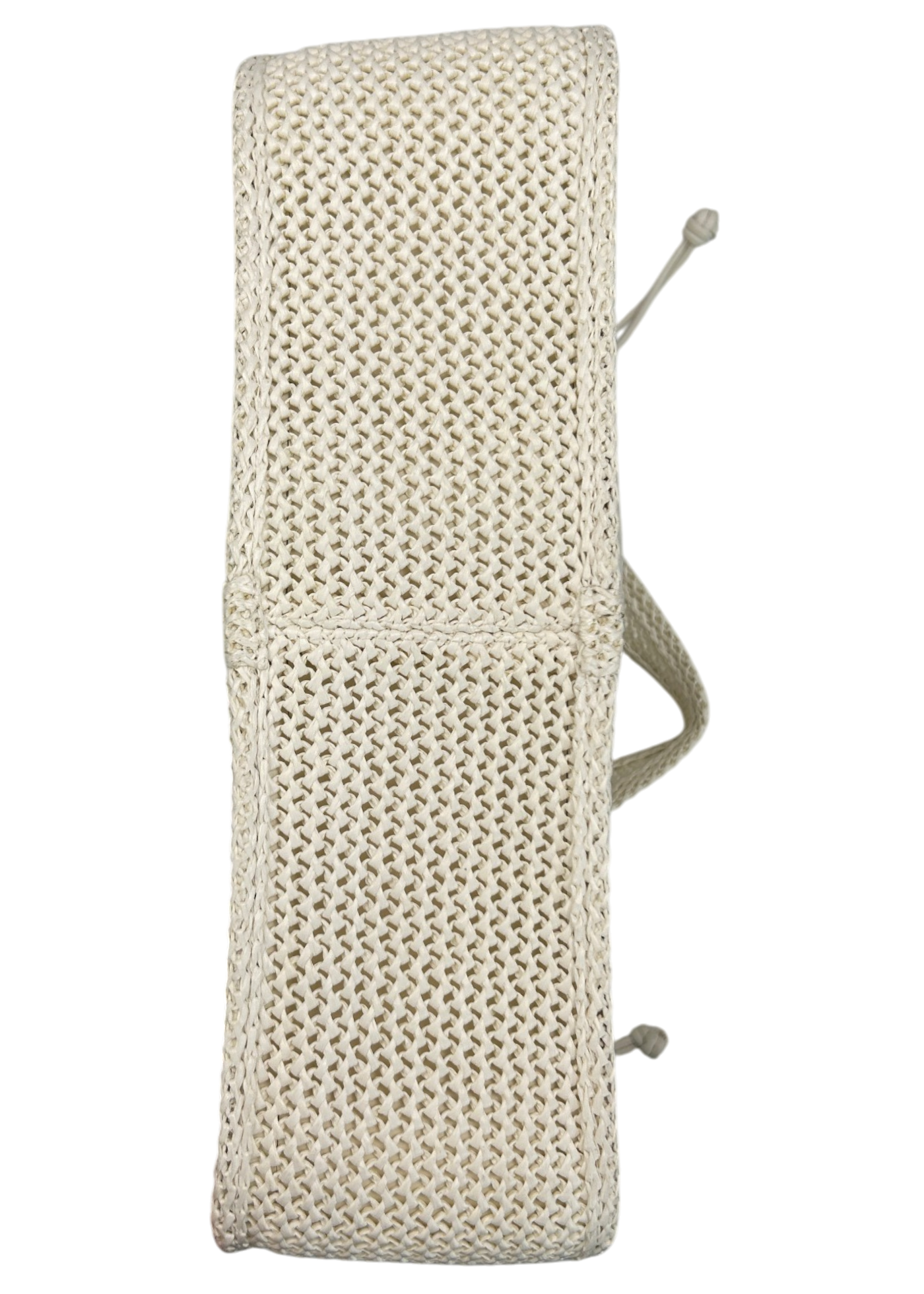 ALEXANDER WANG 'Ryan' White Raffia Woven Hobo Bag