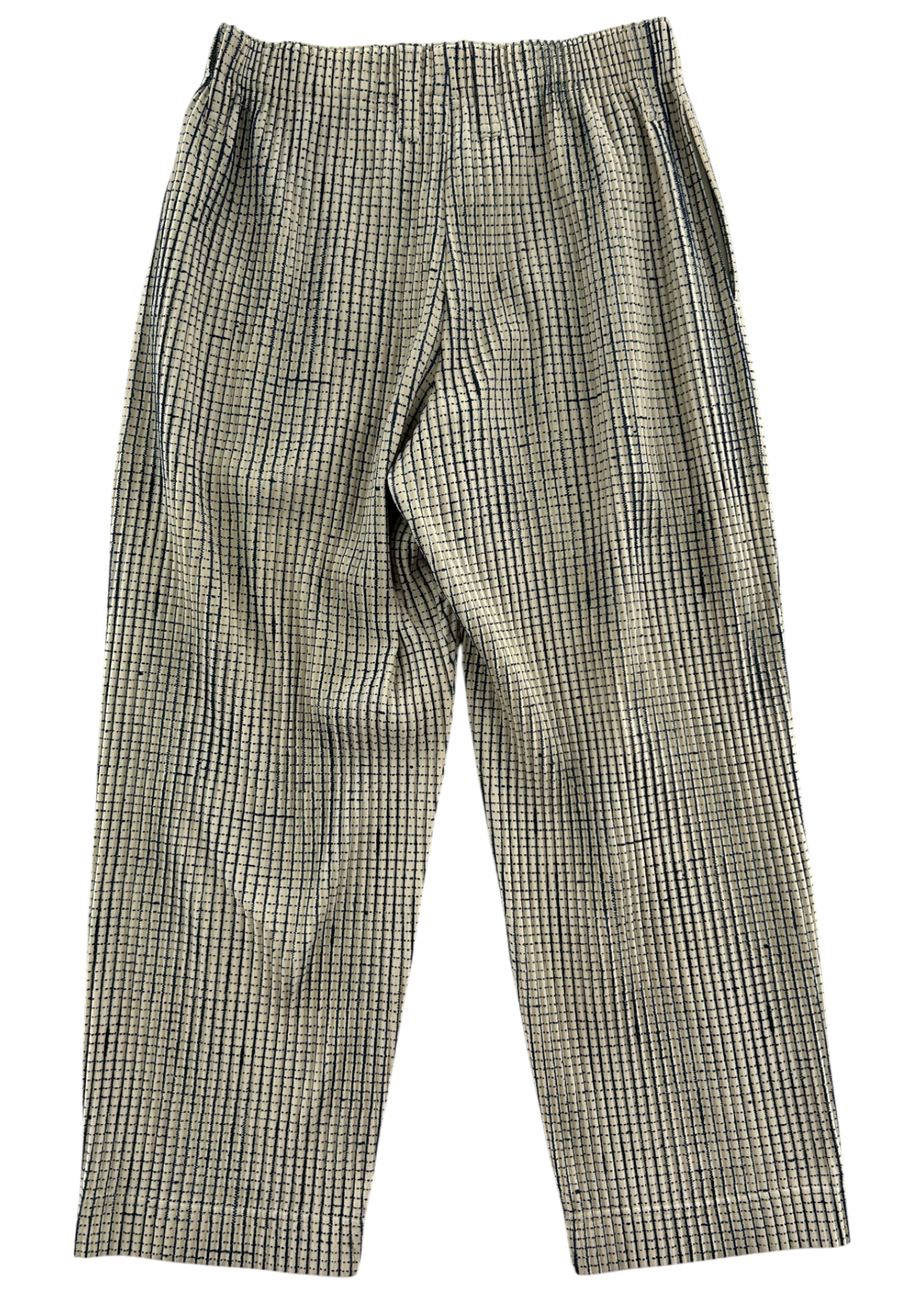 ISSEY MIYAKE HOMME PLISSE Ivory/Blue Speckled Pleat Pants